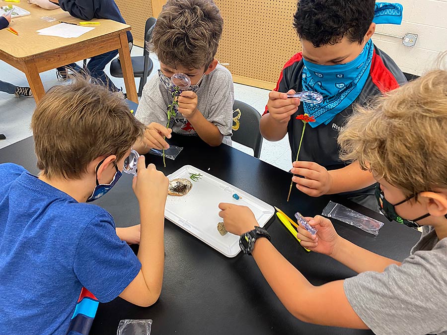 Polk Central third graders learn scientific approach while studying ...